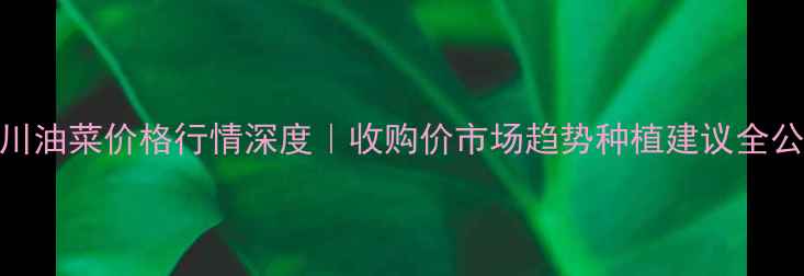 图片 四川油菜价格行情深度｜收购价市场趋势种植建议全公开
