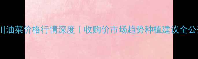 图片 四川油菜价格行情深度｜收购价市场趋势种植建议全公开1