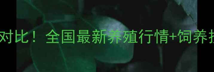 图片 土杂猪VS三元猪价格大对比！全国最新养殖行情+饲养技巧（附地区价格表）1