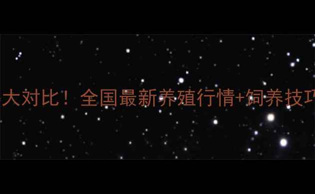 图片 土杂猪VS三元猪价格大对比！全国最新养殖行情+饲养技巧（附地区价格表）2