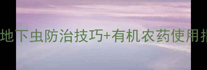 图片 地老虎蛴螬最新推荐！地下虫防治技巧+有机农药使用指南（附安全用药表）2