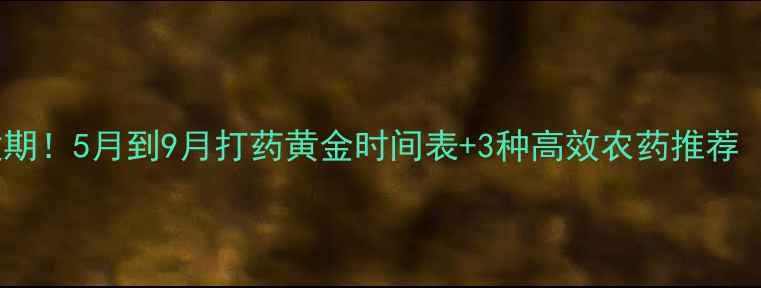 图片 地老虎防治关键期！5月到9月打药黄金时间表+3种高效农药推荐（附使用技巧）2