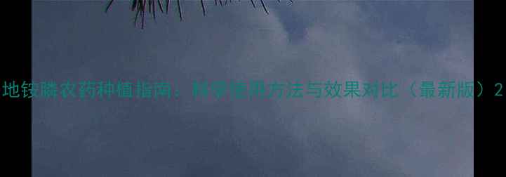 图片 地铵膦农药种植指南：科学使用方法与效果对比（最新版）2