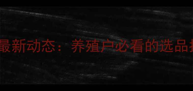 图片 城阳饲料市场最新动态：养殖户必看的选品指南与价格全1