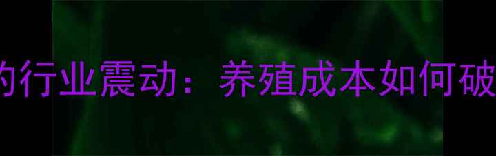 图片 大北农饲料涨价背后的行业震动：养殖成本如何破局？饲料价格波动全2