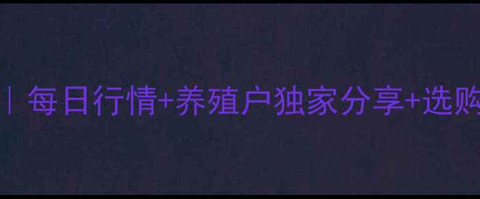 图片 大理鸡蛋价格波动全｜每日行情+养殖户独家分享+选购指南（附最新数据）