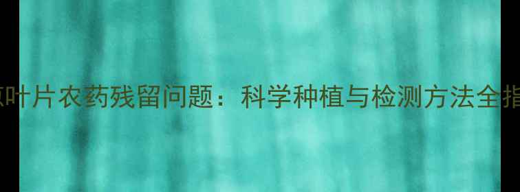 图片 大葱叶片农药残留问题：科学种植与检测方法全指南2