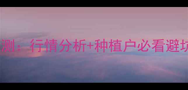 图片 大蒜价格预测：行情分析+种植户必看避坑指南🌱💰2