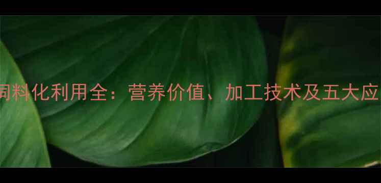 图片 大豆皮饲料化利用全：营养价值、加工技术及五大应用场景2