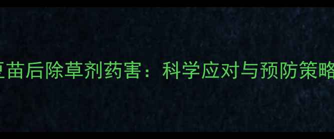 图片 大豆苗后除草剂药害：科学应对与预防策略全1