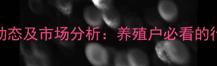 图片 如东肥猪价格最新动态及市场分析：养殖户必看的行情走势与养殖策略