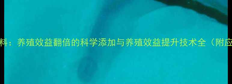 图片 姜黄素饲料：养殖效益翻倍的科学添加与养殖效益提升技术全（附应用指南）