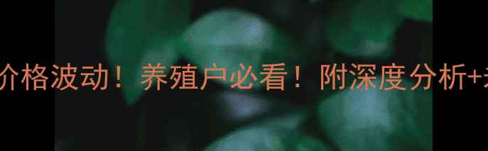 图片 安徽今日生猪价格波动！养殖户必看！附深度分析+未来趋势预测2