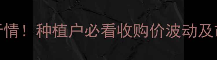 图片 安徽玉米收购价格最新行情！种植户必看收购价波动及市场分析（附种植建议）