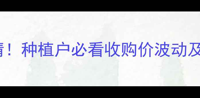 图片 安徽玉米收购价格最新行情！种植户必看收购价波动及市场分析（附种植建议）2