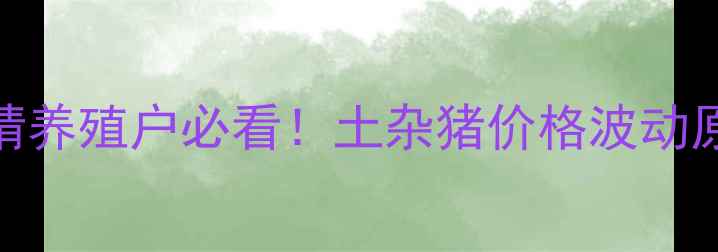 图片 宜昌土杂猪价格行情养殖户必看！土杂猪价格波动原因+最新报价表🔥2