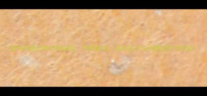 图片 宝鸡鸡蛋价格市场深度：供需波动、成本压力与消费趋势全追踪1