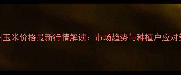 图片 宿州玉米价格最新行情解读：市场趋势与种植户应对策略