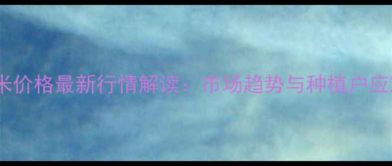 图片 宿州玉米价格最新行情解读：市场趋势与种植户应对策略1