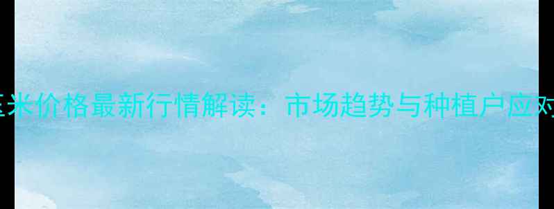 图片 宿州玉米价格最新行情解读：市场趋势与种植户应对策略2