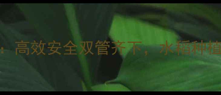 图片 富美实水稻田除草剂：高效安全双管齐下，水稻种植技术与农户案例分享