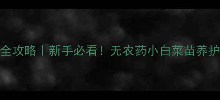 图片 小白菜苗零农药种植全攻略｜新手必看！无农药小白菜苗养护技巧与常见问题解答