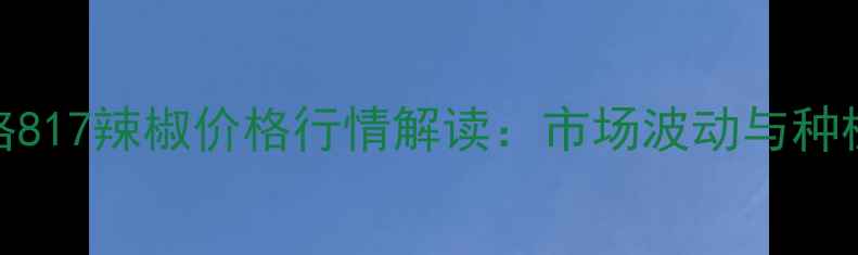 图片 小规格817辣椒价格行情解读：市场波动与种植建议