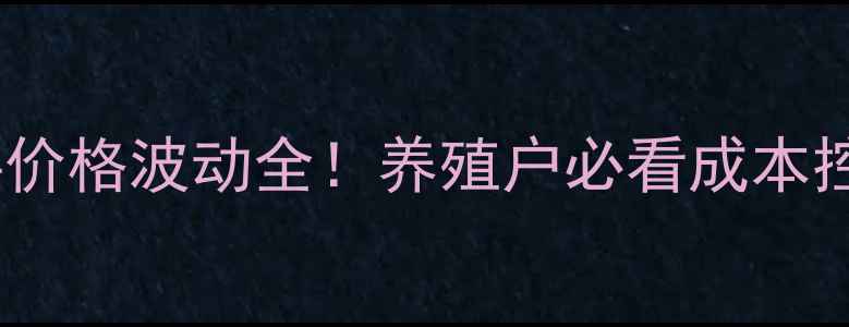 图片 小鸡饲料价格波动全！养殖户必看成本控制攻略1