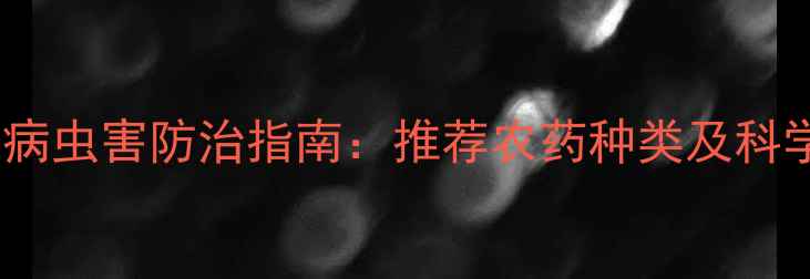 图片 小麦三月份病虫害防治指南：推荐农药种类及科学施药方法1