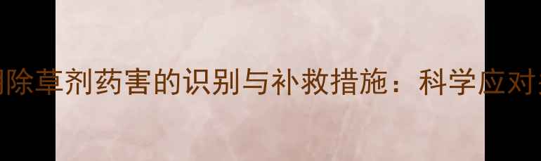图片 小麦中后期除草剂药害的识别与补救措施：科学应对关键期病害