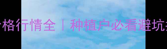 图片 小麦价格行情全｜种植户必看避坑指南🌾