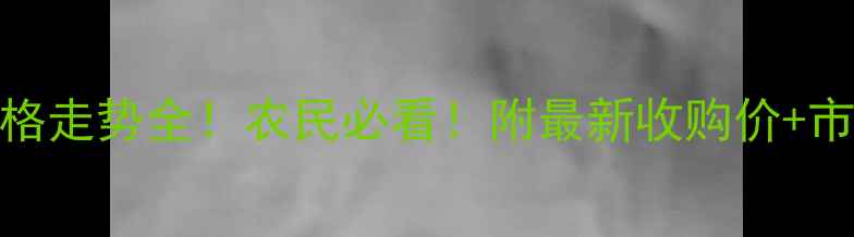 图片 小麦价格走势全！农民必看！附最新收购价+市场预测