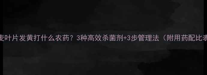 图片 小麦叶片发黄打什么农药？3种高效杀菌剂+3步管理法（附用药配比表）
