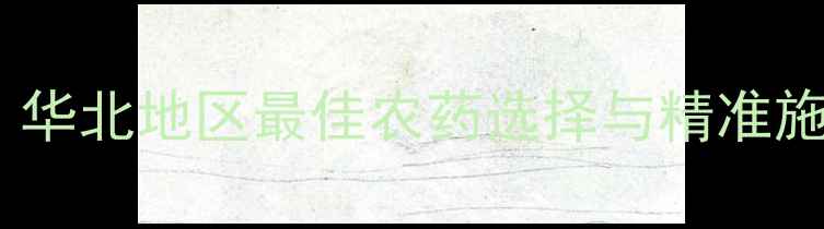 图片 小麦干枯病防治全攻略：华北地区最佳农药选择与精准施药技术（附用药方案）1