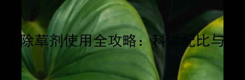 图片 小麦连封双效除草剂使用全攻略：科学配比与安全用药指南