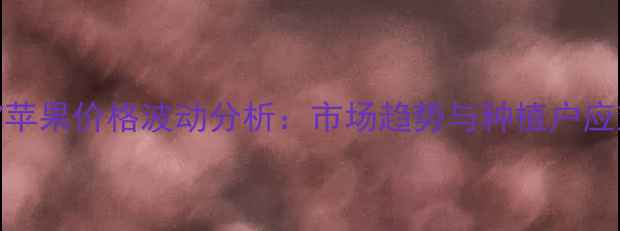 图片 山东817苹果价格波动分析：市场趋势与种植户应对策略2