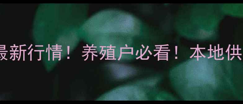 图片 山东临沂饲料油脂价格最新行情！养殖户必看！本地供应商推荐+选油避坑指南