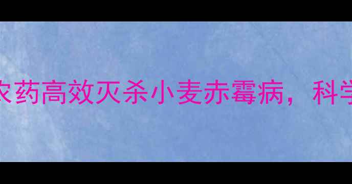 图片 山东农户实测：甲王角农药高效灭杀小麦赤霉病，科学使用指南与注意事项全