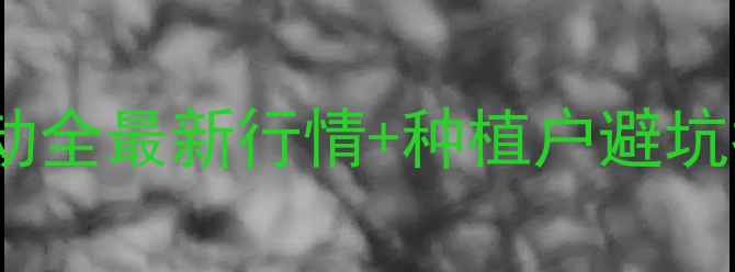 图片 山东华阳农药价格波动全最新行情+种植户避坑指南（附采购攻略）2