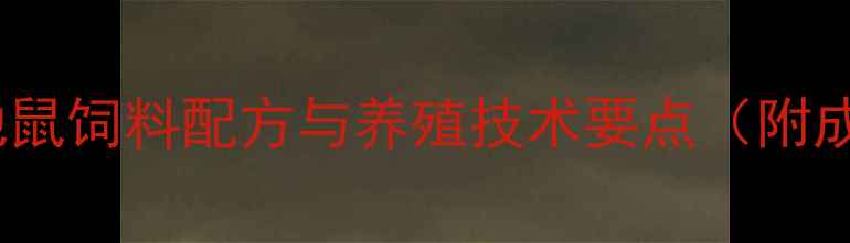 图片 山东地区金黄地鼠饲料配方与养殖技术要点（附成本收益分析）2