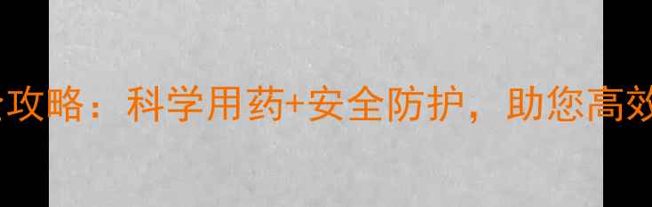 图片 山东寿光打农药全攻略：科学用药+安全防护，助您高效完成春耕春播！2