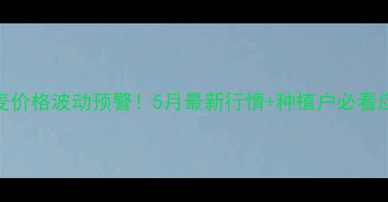 图片 山东小麦价格波动预警！5月最新行情+种植户必看应对策略