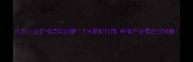 图片 山东小麦价格波动预警！5月最新行情+种植户必看应对策略1