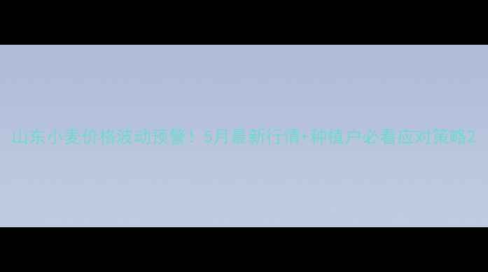 图片 山东小麦价格波动预警！5月最新行情+种植户必看应对策略2