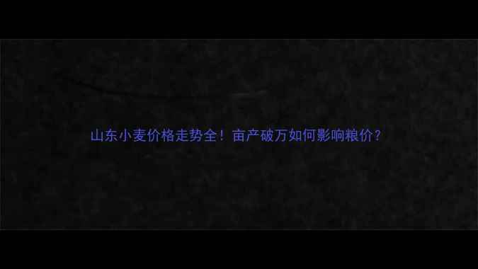图片 山东小麦价格走势全！亩产破万如何影响粮价？
