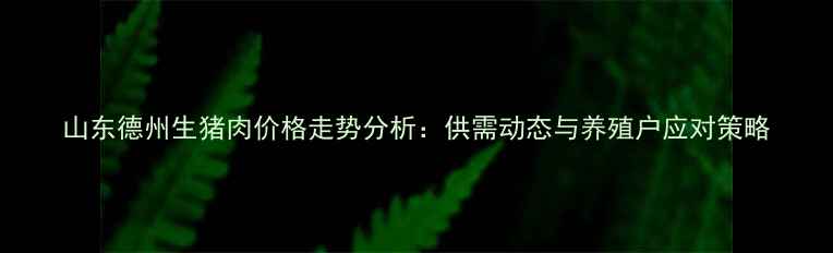 图片 山东德州生猪肉价格走势分析：供需动态与养殖户应对策略