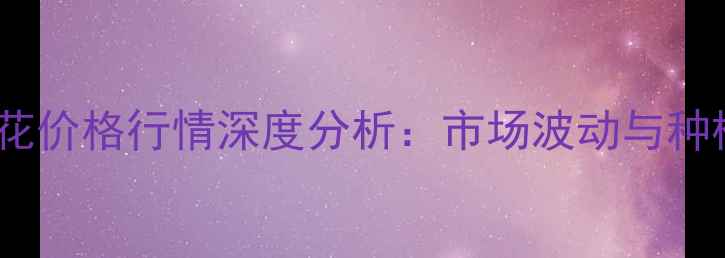 图片 山东棉花价格行情深度分析：市场波动与种植建议2