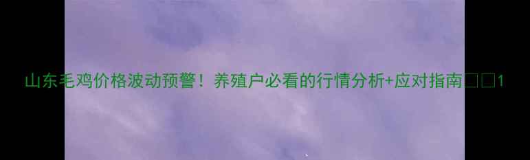 图片 山东毛鸡价格波动预警！养殖户必看的行情分析+应对指南🐔💰1