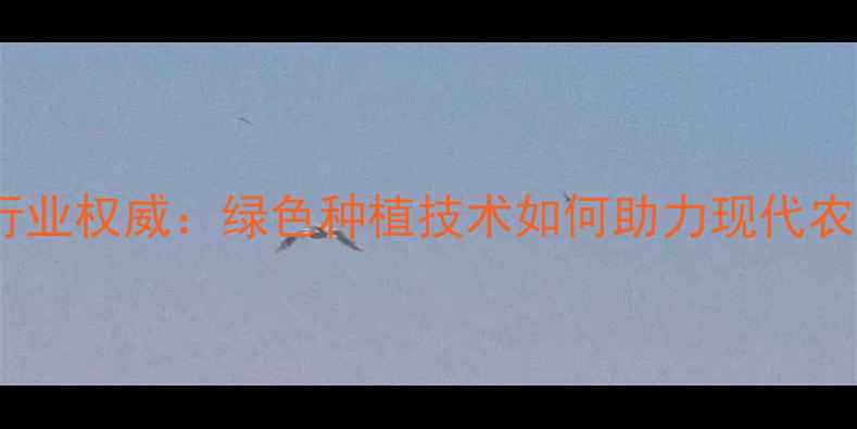 图片 山东润丰农药行业权威：绿色种植技术如何助力现代农业高质量发展1