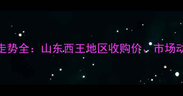 图片 山东玉米价格走势全：山东西王地区收购价、市场动态及未来预测
